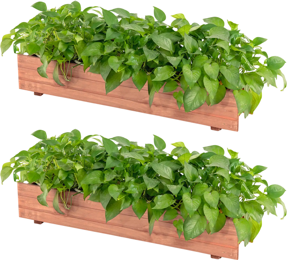 Set of 2 brown wooden decorative raised garden beds filled with lush green plants, ideal for indoor or outdoor use.