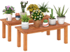 Set of 2 wooden plant stands in brown finish, perfect for displaying potted plants indoors or outdoors.