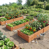 Wooden vegetable raised garden beds made of solid fir wood, ideal for planting vegetables and flowers in the backyard.