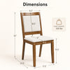 Modern dining chair with padded beige cushion, walnut frame, ergonomic design, and a load capacity of 330 lbs.