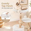 Comfy top perch with a plush padded cushion on a solid wood cat tree, perfect for lounging and climbing.