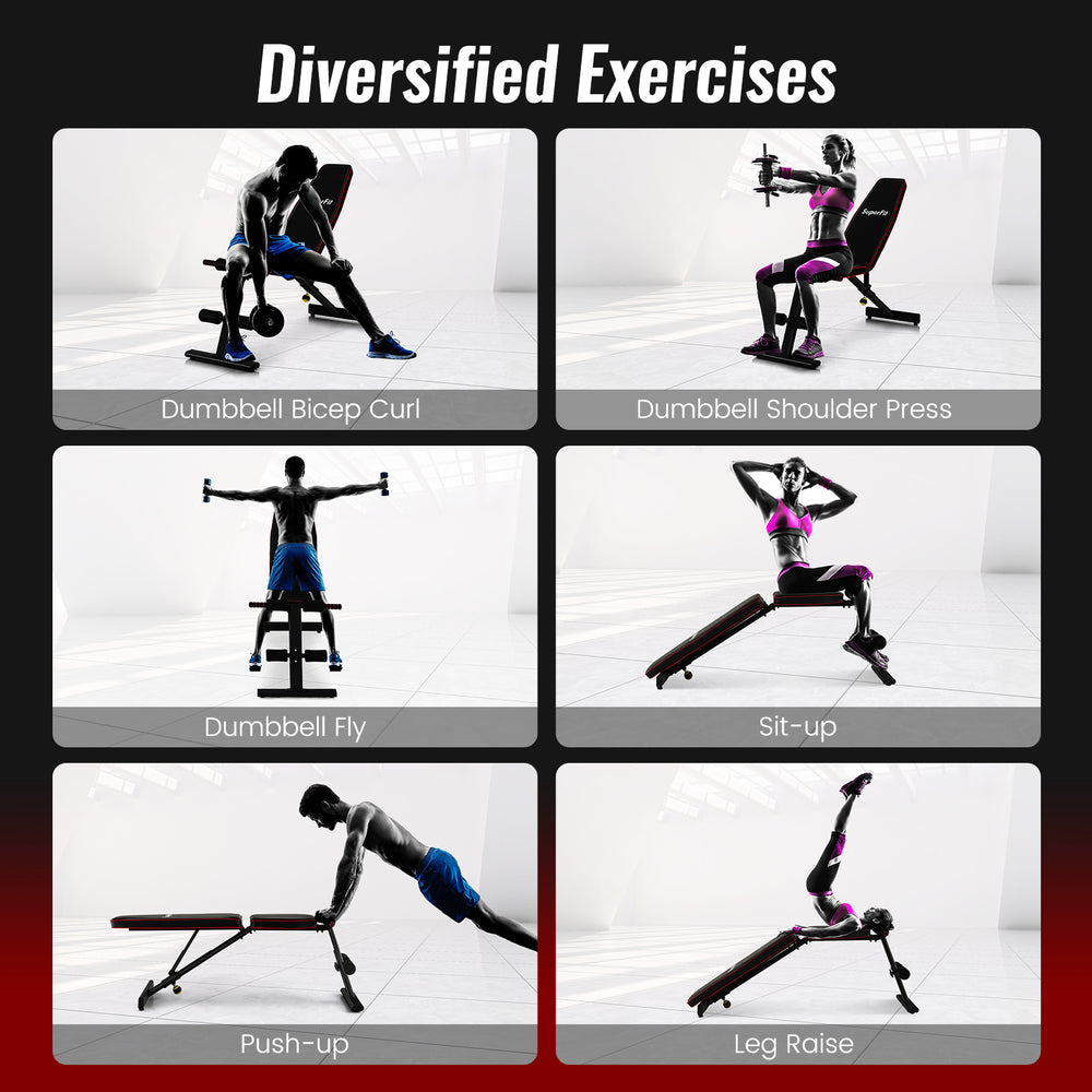Adjustable weight bench shown in use for dumbbell bicep curl, featuring sturdy metal frame and cushioned support for.