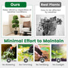 45-inch artificial boxwood topiary ball tree with lush PE leaves, stable base, and no maintenance needed for home or.