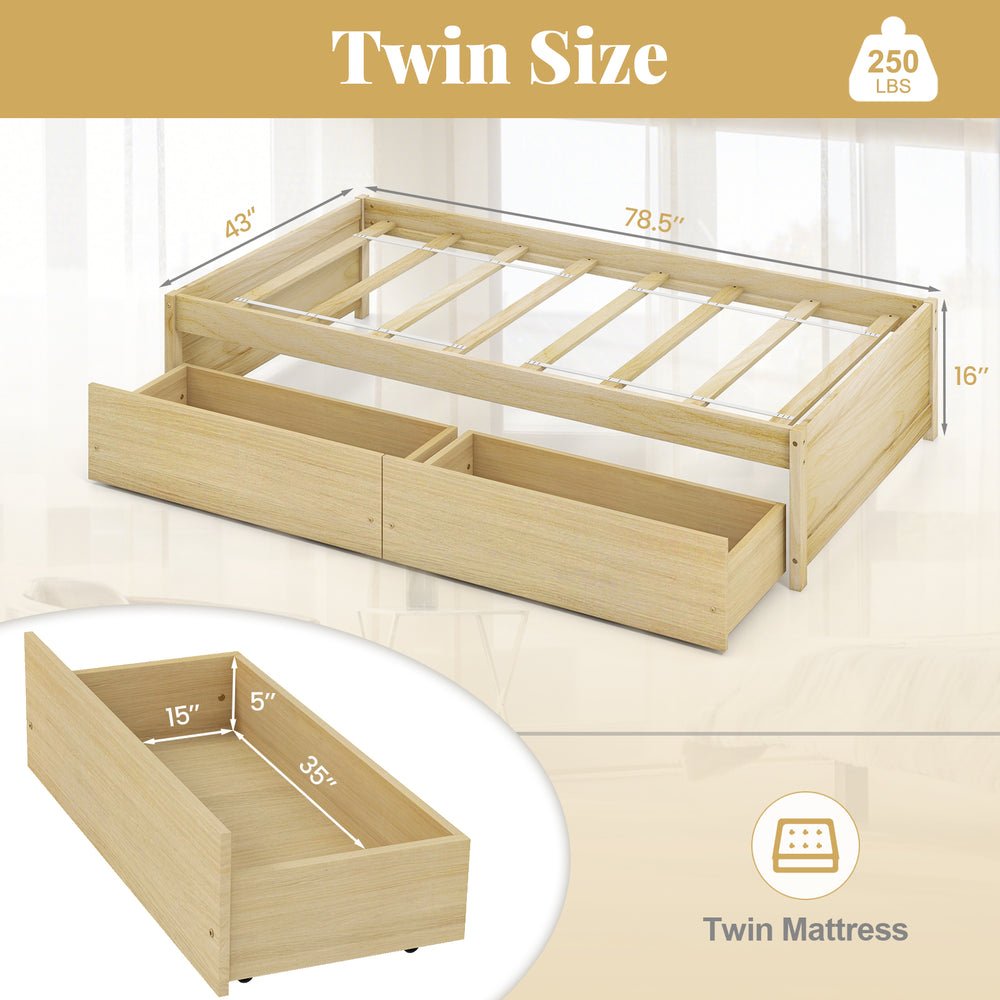 Twin size captain bed in natural wood with 2 pull-out drawers for storage and slats support, ideal for optimizing space.
