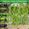 U-shaped tall garden trellis for climbing plants, made of rustproof PE-coated metal, ideal for grapes, tomatoes, and.