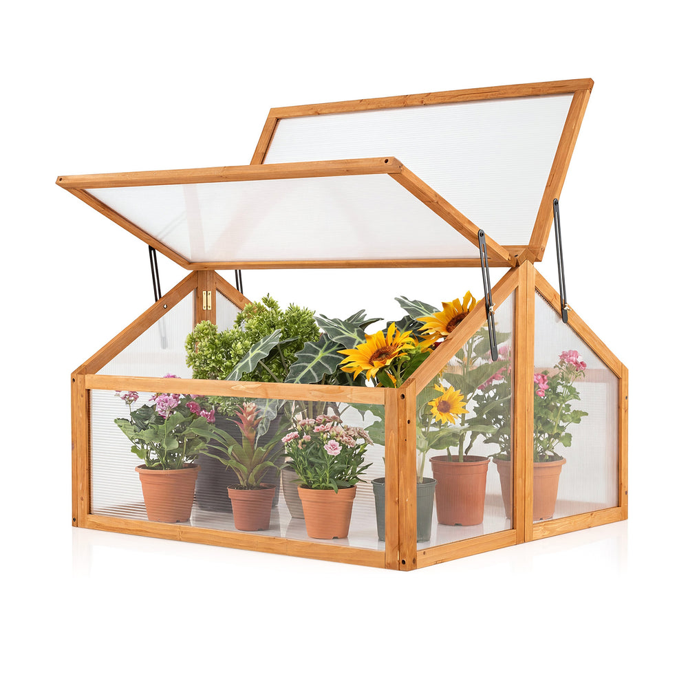 Wood cold frame greenhouse with a raised design and transparent panels, perfect for protecting flowers and extending.