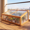 Wood cold frame greenhouse with transparent flip-top roof, featuring fir wood construction for plant protection on a.