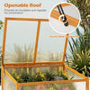 Openable roof of the wood cold frame greenhouse with transparent panel for air circulation and temperature regulation.