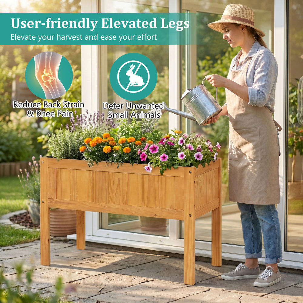 Wood raised garden bed planter box with elevated legs, filled with flowers, ideal for vegetables and herbs.