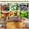 Wooden raised garden bed with lattice trellis, ideal for cultivating flowers, herbs, and vegetables in outdoor spaces.