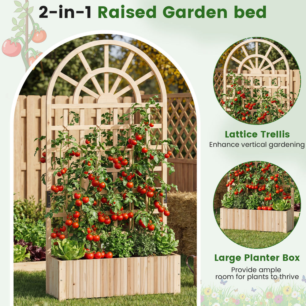 Wooden raised garden bed with trellis, featuring solid fir wood and ample space for climbing plants in outdoor settings.