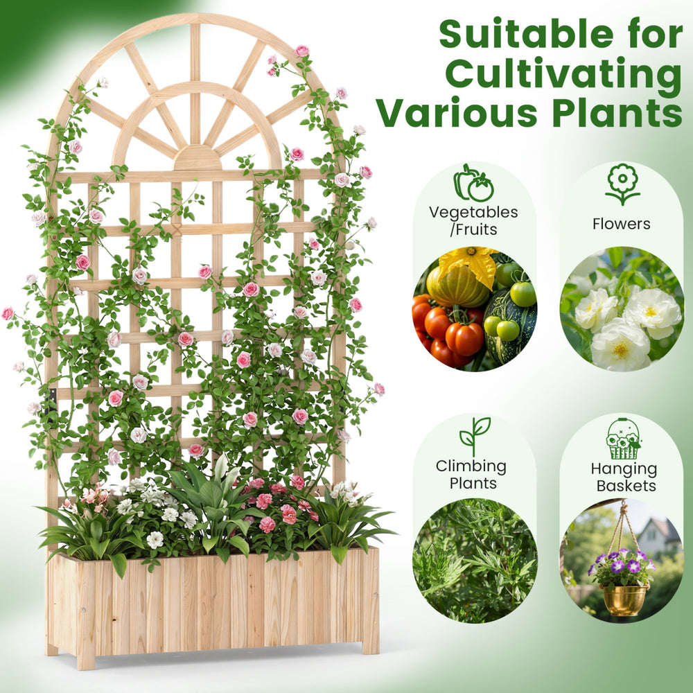 Wooden raised garden bed with trellis for climbing plants, featuring natural fir wood and spacious design for outdoor.