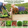 Wooden raised garden bed with vibrant flowers and vegetables, perfect for nurturing deep-rooted plants in various.