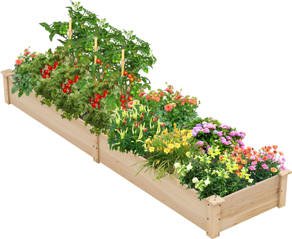 Wooden raised garden bed with two planter boxes and dividers, made of natural fir wood, ideal for growing various.