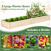 Two large wooden planter boxes with a divider, made of durable fir wood, ideal for cultivating various plants.