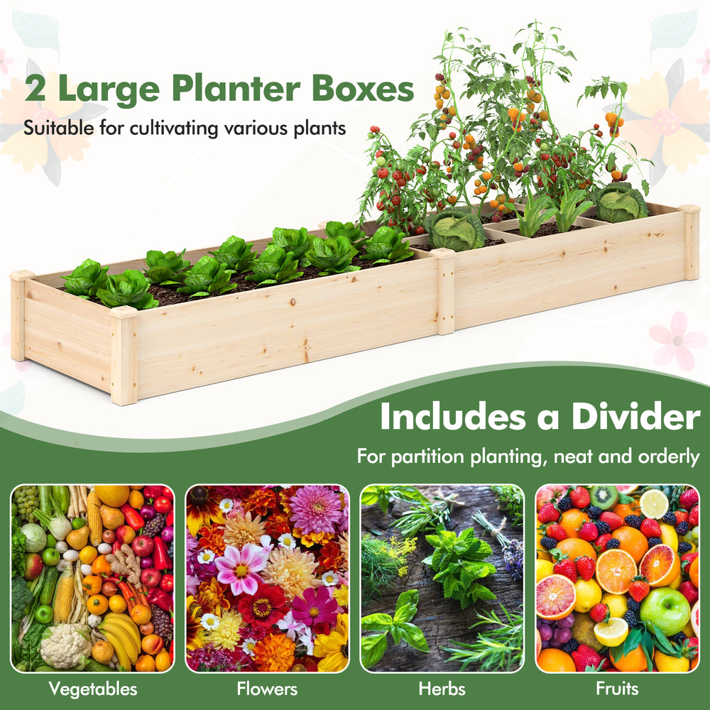 Two large wooden planter boxes with a divider, made of durable fir wood, ideal for cultivating various plants.