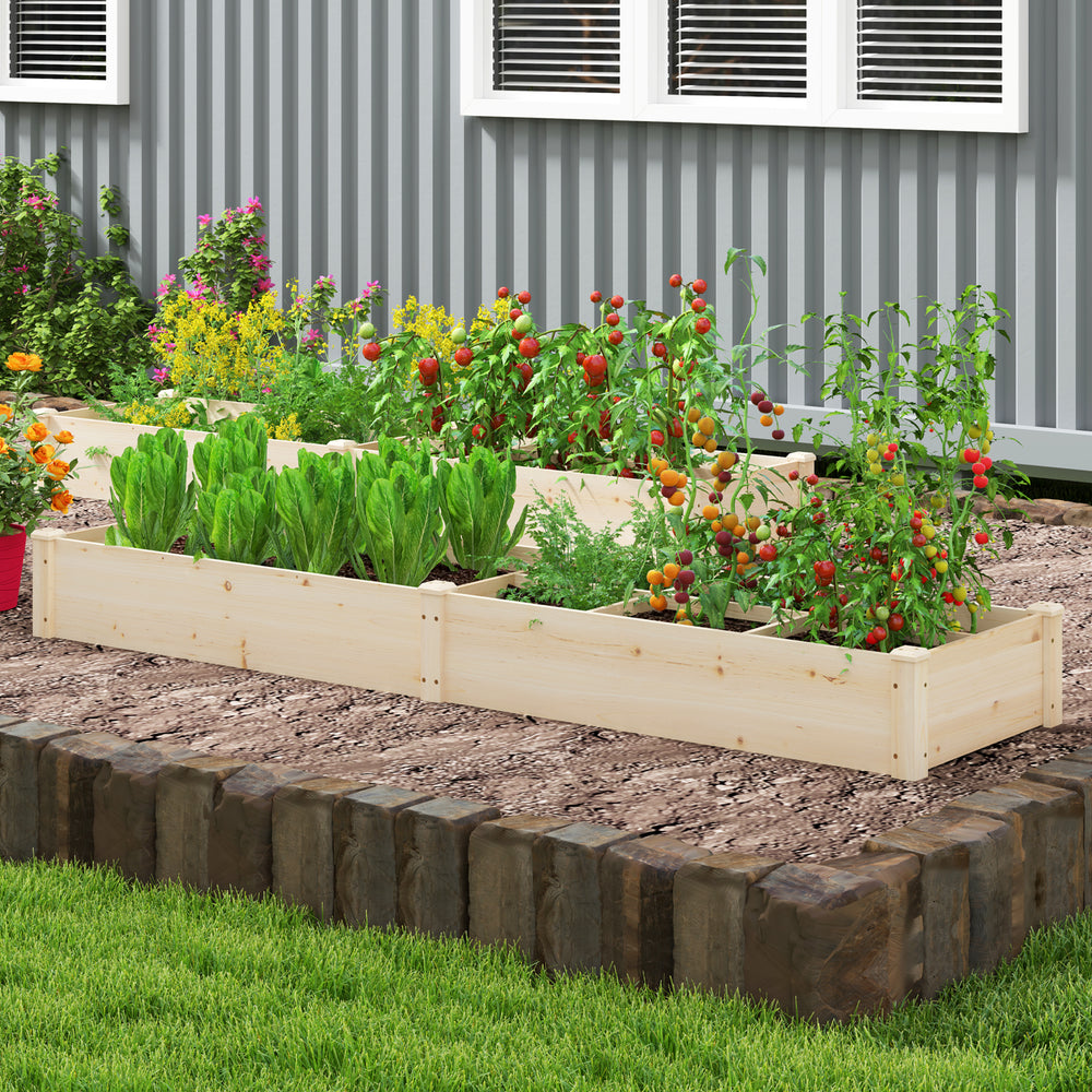 Wooden raised garden bed with two planter boxes, made of durable fir wood, ideal for growing various plants outdoors.