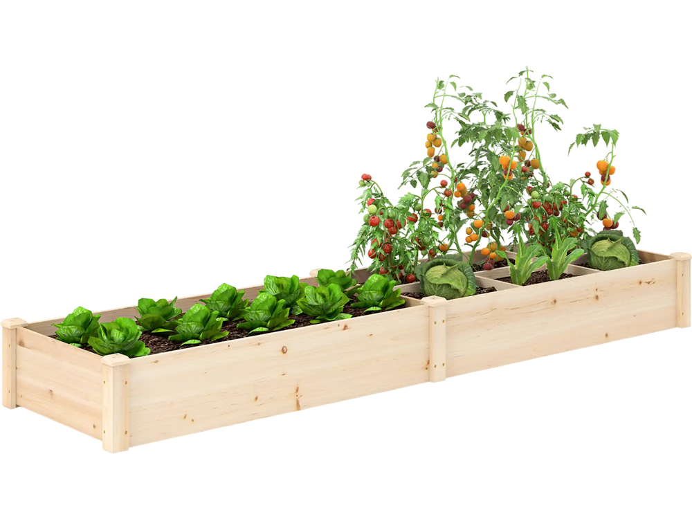 Wooden raised garden bed with two planter boxes, made of durable fir wood, ideal for growing various plants.