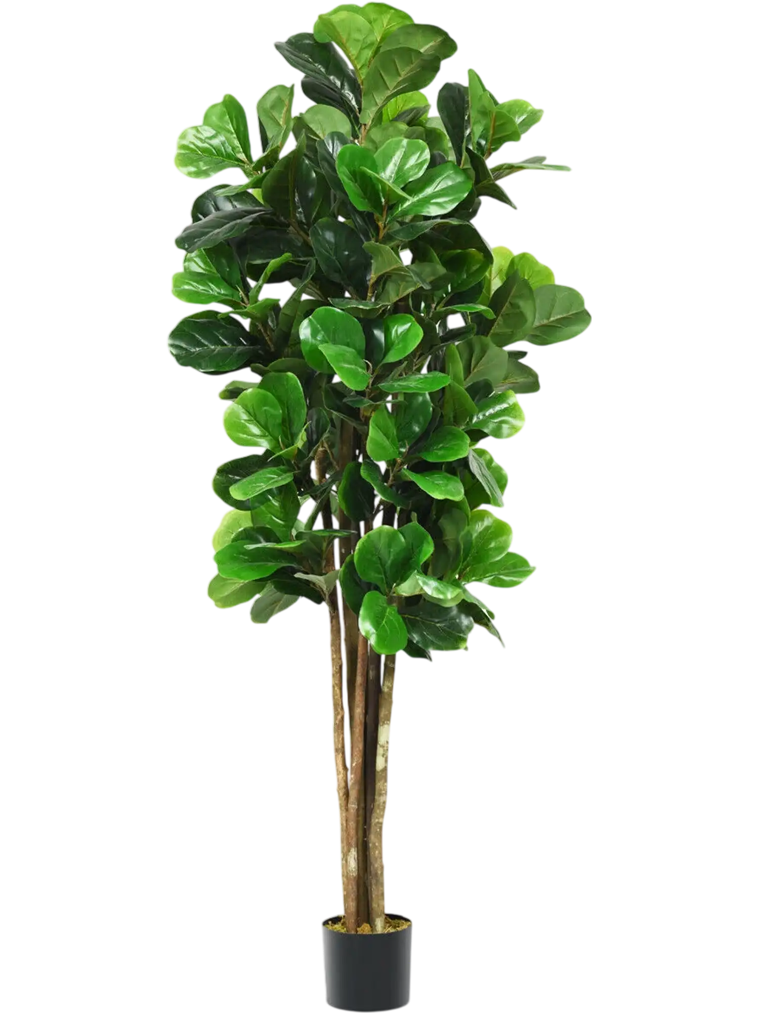Costway 6' Artificial Indoor Outdoor Decorative Planter 59367082 New