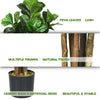 Lush 6-feet artificial fiddle leaf fig tree with multiple trunks, PEVA leaves, and a cement base for indoor-outdoor.