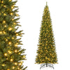 12 FT artificial Christmas tree with 800 warm white LED lights, featuring lush branch tips and a sturdy metal base.