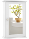 Bathroom wall cabinet with single mirror door, featuring a painted MDF finish and adjustable shelves for organized.