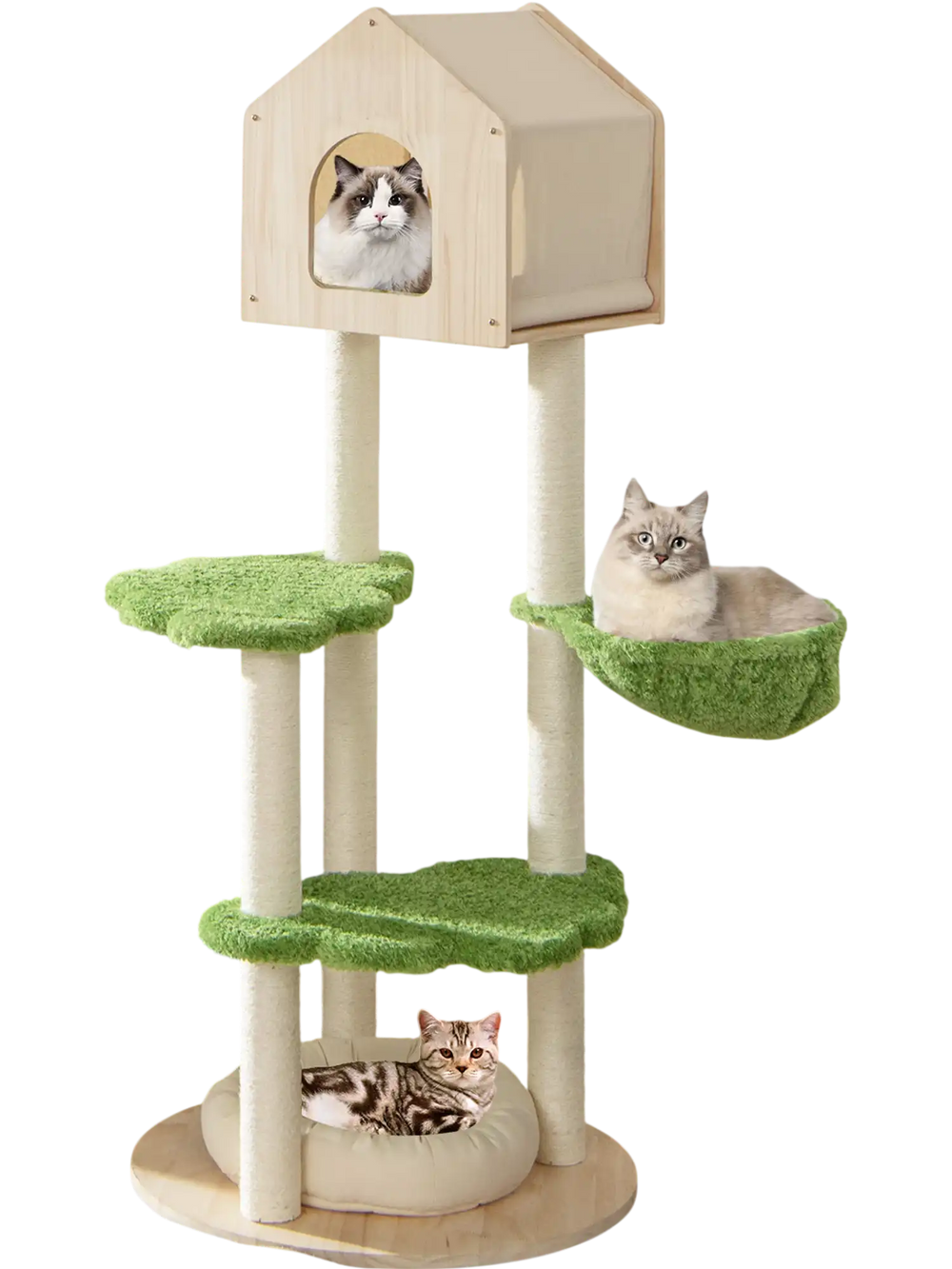 Cat climbing stand with sisal scratching posts, soft bed, and green platforms for indoor kittens, stylish and durable.