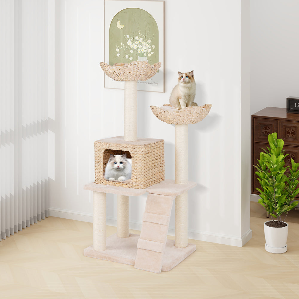 48-inch beige cattail cat tower featuring sisal scratching posts, a cozy condo, and a top perch for observation.