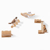 Cat wall furniture set featuring a hammock, 2-step cat tree, and perch in natural wood, perfect for indoor kittens.