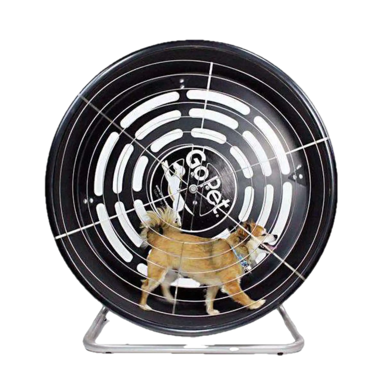 GoPet CG4012 Toy-Small Breed Indoor/Outdoor TreadWheel for Small Dogs/Cats up to 25 lbs New