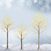 Three pre-lit white twig birch trees with 48 LED lights, perfect for festive indoor holiday decoration.