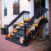 Black pre-lit Halloween garland with 50 purple LED lights, perfect for festive decoration and creating a spooky.