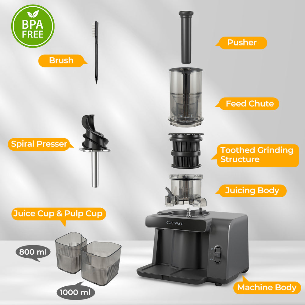 Cold press juicer with 5.3" feed chute, 800 ml juice cup, and 1000 ml pulp cup for efficient juice extraction.