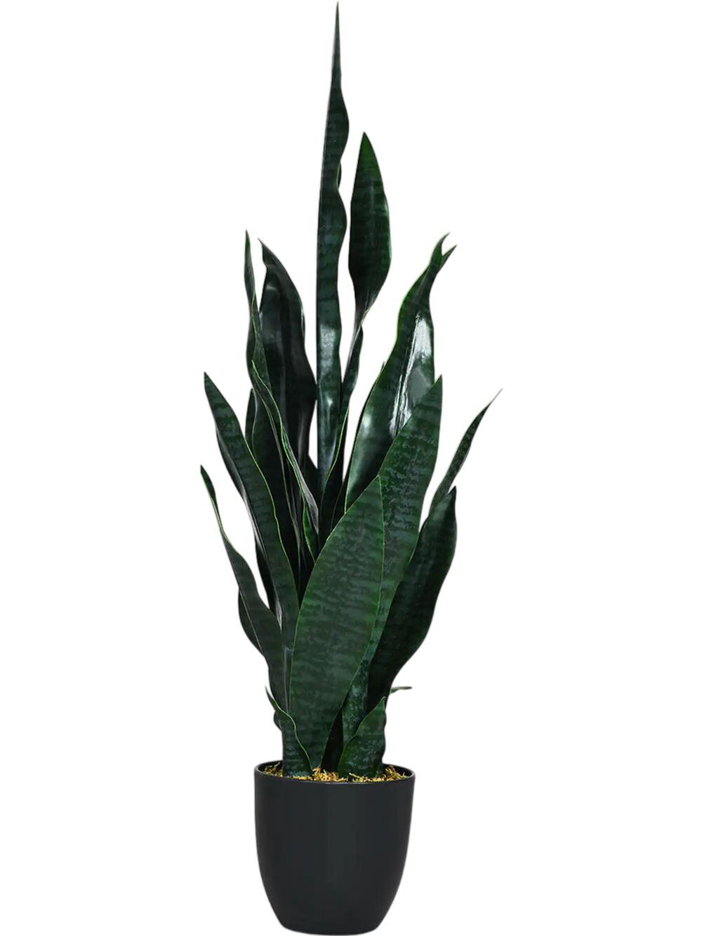 35.5 Inch  Indoor-Outdoor Artificial Fake Snake Plant