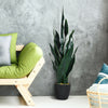 Indoor-outdoor artificial snake plant with 20 vivid green leaves in a sturdy pot, perfect for any decor style.