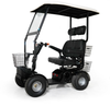 Green Transporter Cheeta Ninja Mobility Golf Cart All Terrain 4-Wheel 48V 1000W New