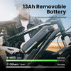 isinwheel M50 Mountain Ebike