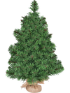 Side view of a 2 ft artificial Christmas tree with realistic PVC branches, ideal for festive corner displays.