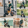DX5 Electric Scooter lifestyle collage