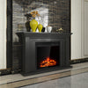 Freestanding 22.5-inch electric fireplace insert with realistic flames, 750W/1500W heating, and classic design for home.