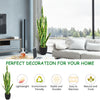 35.5-inch artificial snake plant with 20 leaves in a sturdy pot, perfect for home or office decoration.