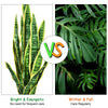 Artificial Snake Plant with 20 vivid leaves and bright yellow edges, perfect for indoor or outdoor decoration.