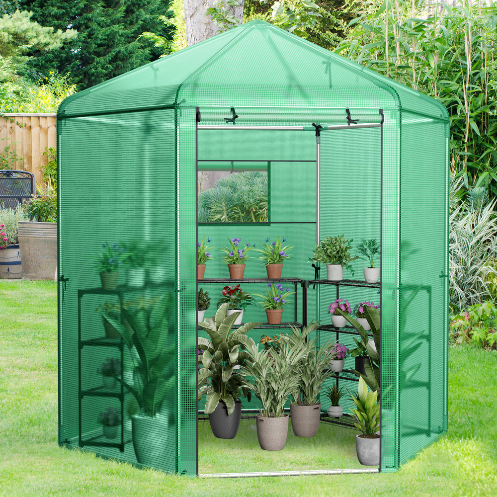 Walk-in hexagonal greenhouse with PE cover and metal frame, featuring plants on shelves and a zippered roll-up door.