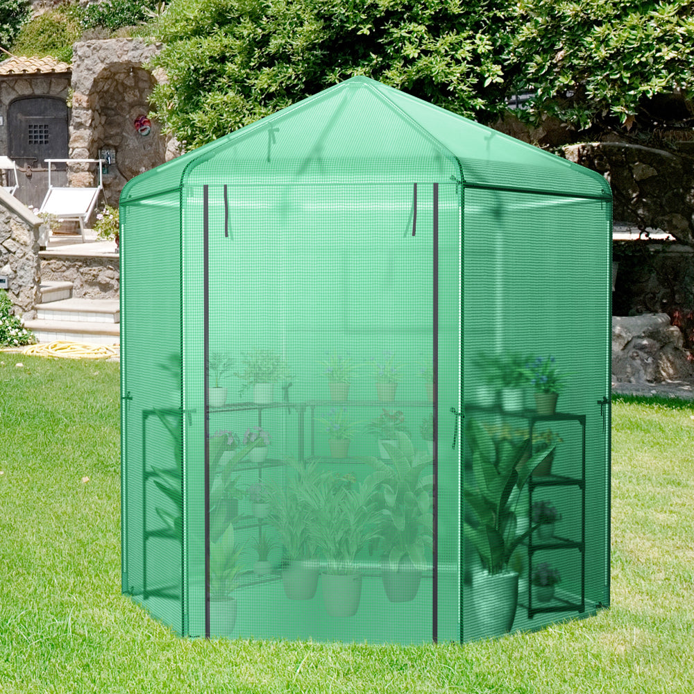 Walk-in hexagonal greenhouse with a PE cover and metal frame, featuring a dome top and roll-up windows for ventilation.