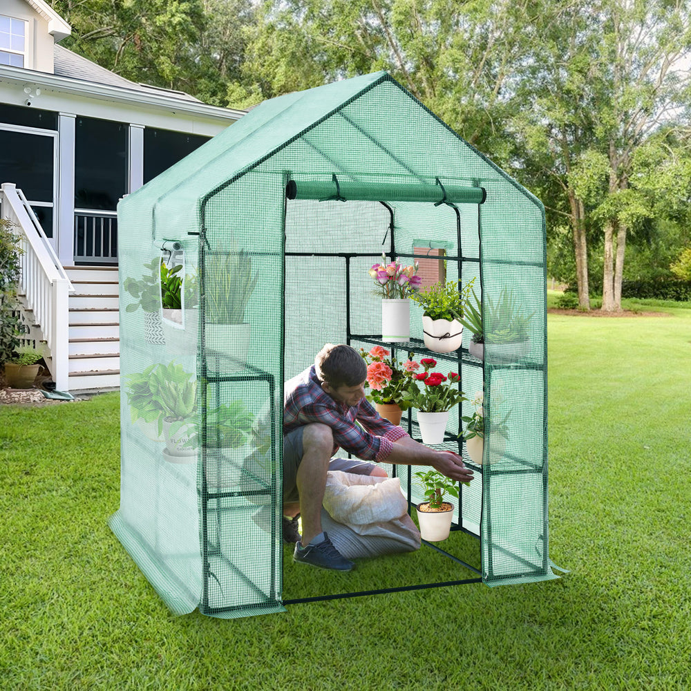 Walk-in greenhouse with observation windows, featuring a roll-up door and eight shelves for gardening plants and.