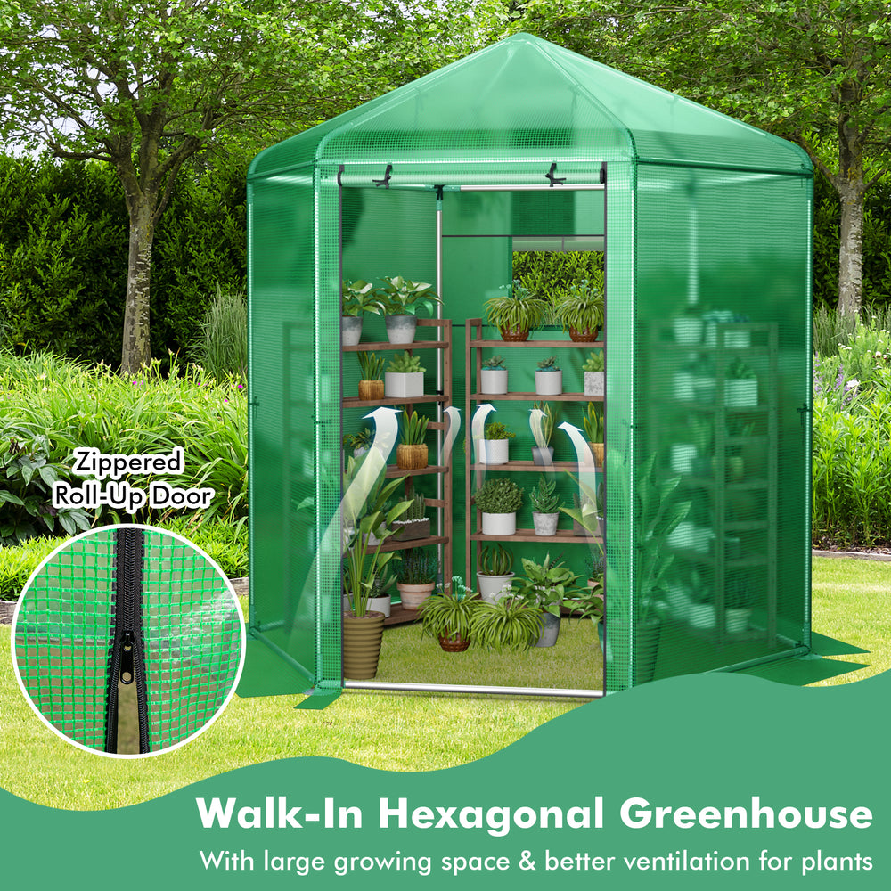 Walk-in hexagonal greenhouse with PE cover and metal frame, featuring a zippered roll-up door for easy access and.