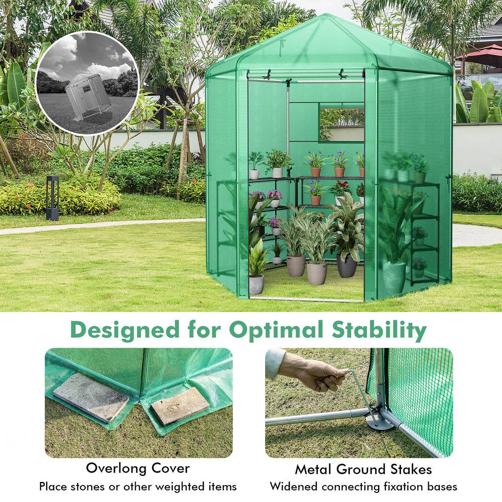 Walk-in hexagonal greenhouse with PE cover, metal frame, and roll-up door for optimal plant ventilation and protection.