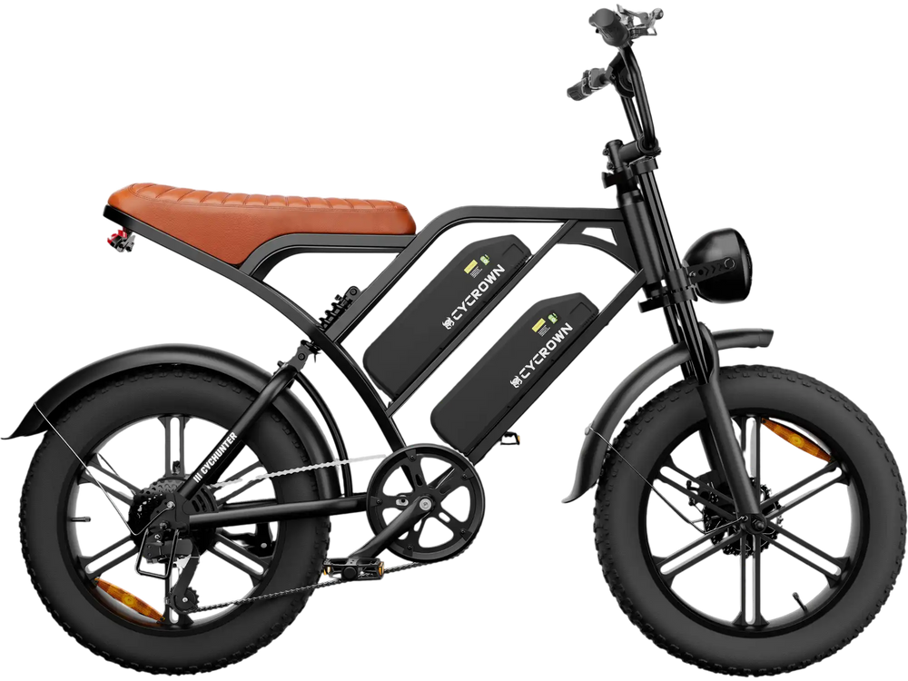 CycHunter Moped Style Ebike