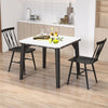 Set of 2 modern dining chairs with backrest, made of premium steel, suitable for dining or living room use.