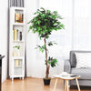 5.5 feet artificial ficus tree with adjustable branches and a natural appearance, ideal for enhancing indoor spaces.